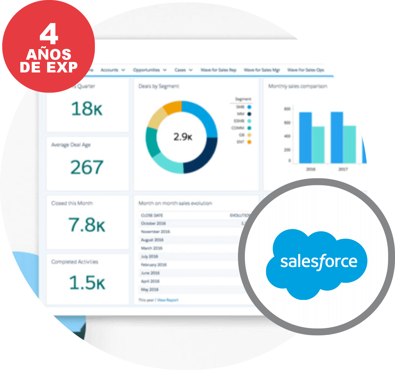 consultoría salesforce